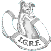 Italian Greyhound Rescue Foundatation IGRF Logo